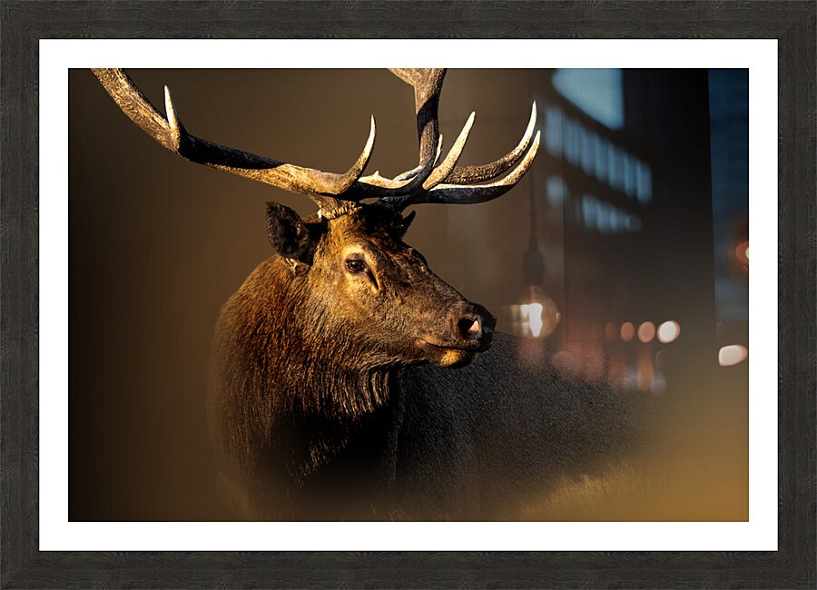 My Eyes Are Down Here Picture Frame print