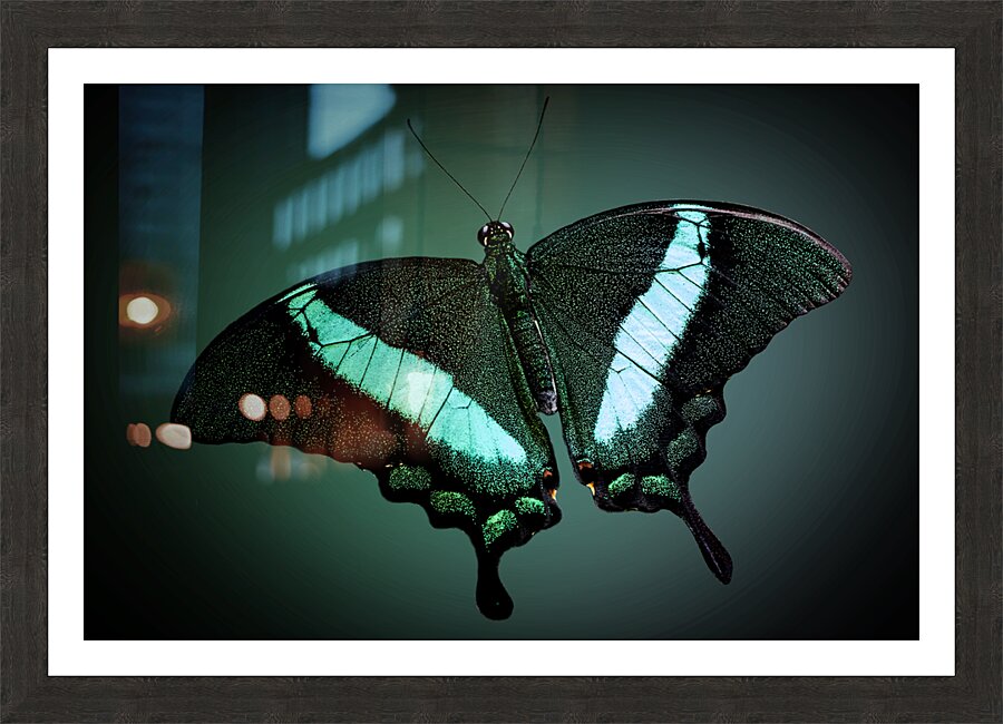 Emerald Beauty Picture Frame print