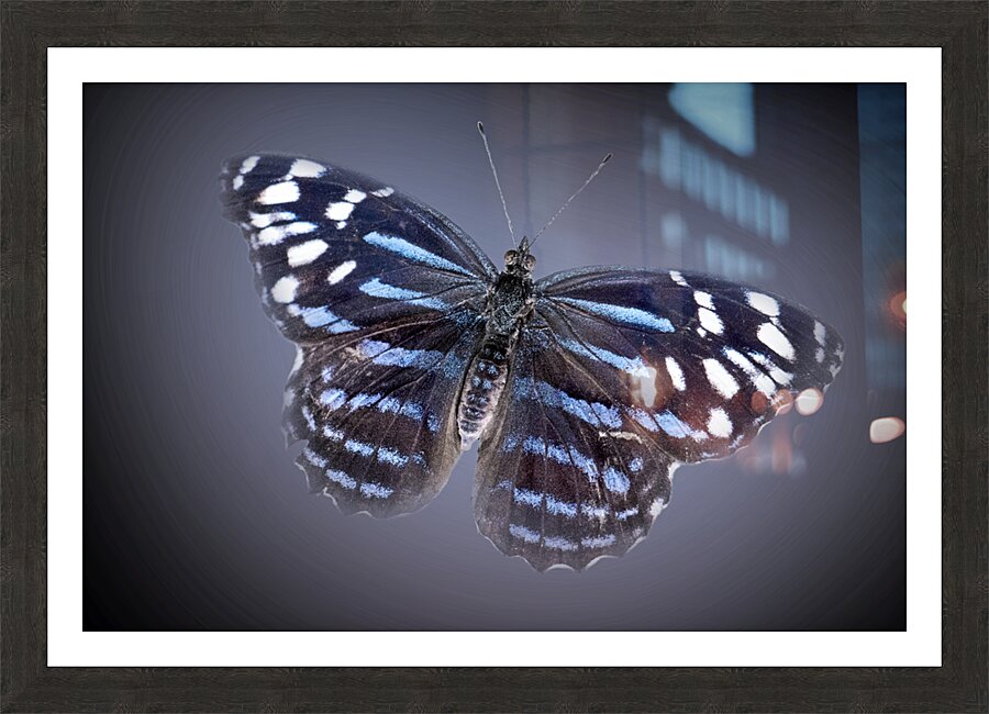 And Im Feeling Blue Picture Frame print