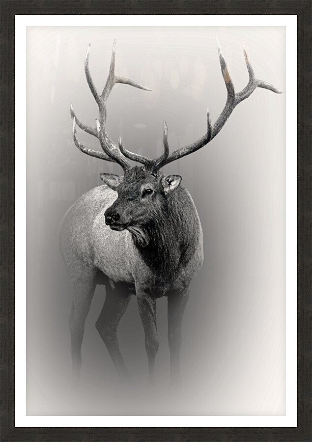 Defend Picture Frame print