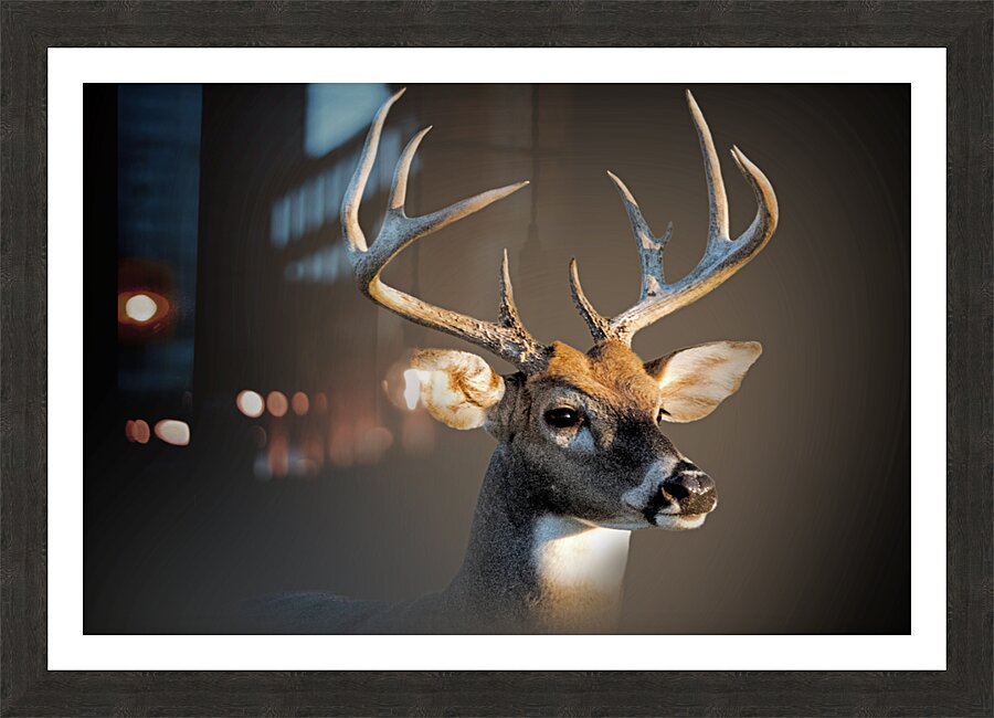 What the Buck Picture Frame print