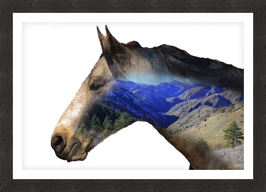 Go For A Ride Picture Frame print