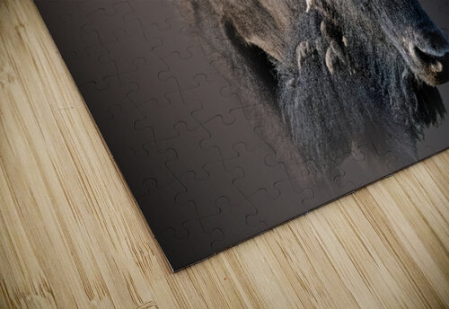 Schluff B Zolle puzzle