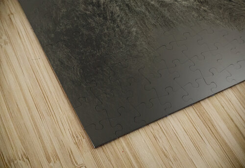 Hey Bear B Zolle puzzle