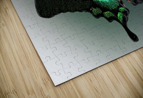 Swallowed Gem B Zolle puzzle