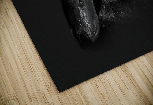 Dark Wing B Zolle puzzle