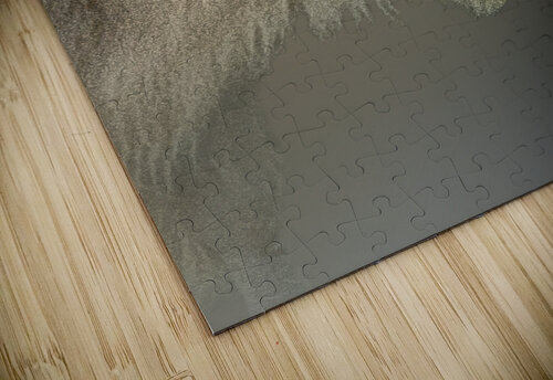 Blonde Bison B Zolle puzzle