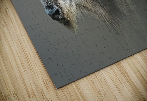 Tatanka Ska B Zolle puzzle