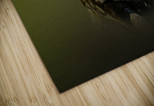 Snot Easy B Zolle puzzle