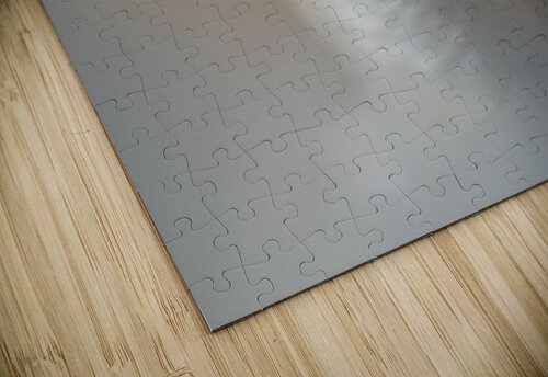 Nice Honker B Zolle puzzle