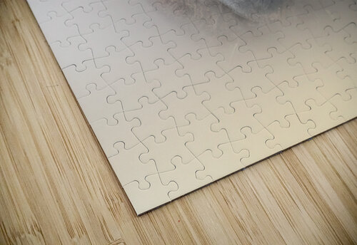 Too Early B Zolle puzzle