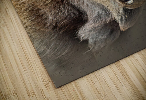 Dirty Details B Zolle puzzle
