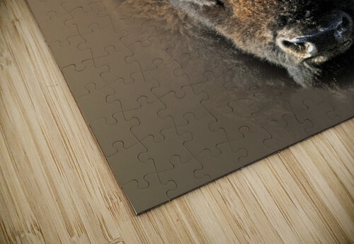 Silent Thunder in Portrait B Zolle puzzle