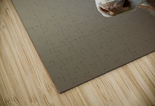 Six Seven Three B Zolle puzzle
