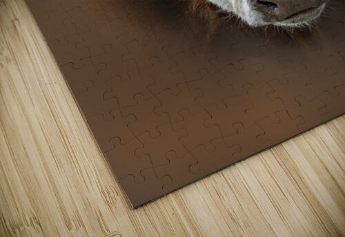 Six Nine Six B Zolle puzzle