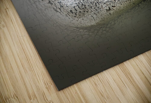 Bayou Gaze B Zolle puzzle