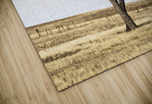 Solitude in Twisted Branches B Zolle puzzle