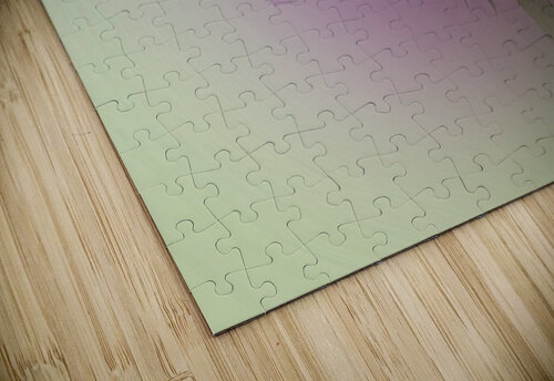 Soft Petals Bright Cheer B Zolle puzzle