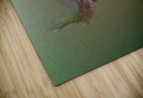 Buzz and Blossom B Zolle puzzle