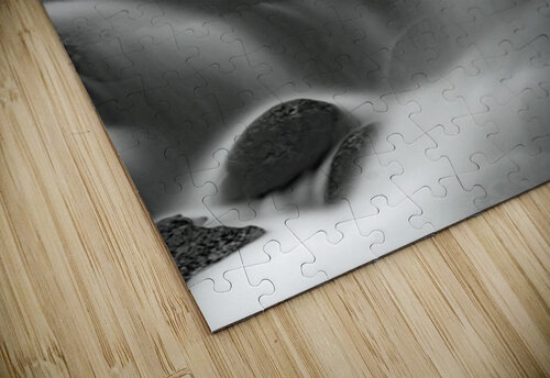 Silken Shadows B Zolle puzzle