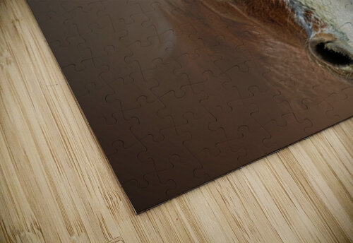 Blaze Unbound B Zolle puzzle
