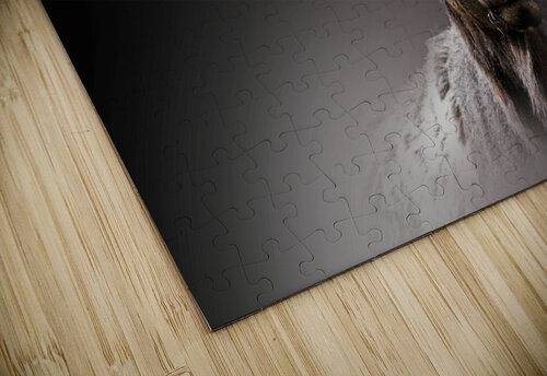 A New Crown B Zolle puzzle