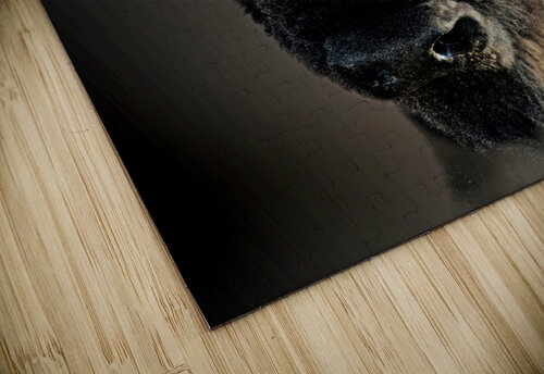 Boom Bull B Zolle puzzle