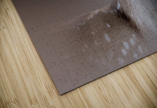 Fawning Over Bambi B Zolle puzzle