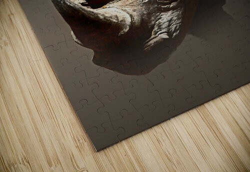 Emerge B Zolle puzzle