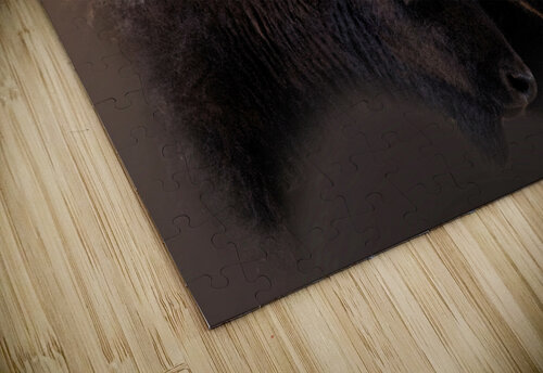Ooh Child B Zolle puzzle