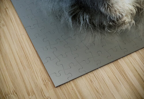 Only One B Zolle puzzle