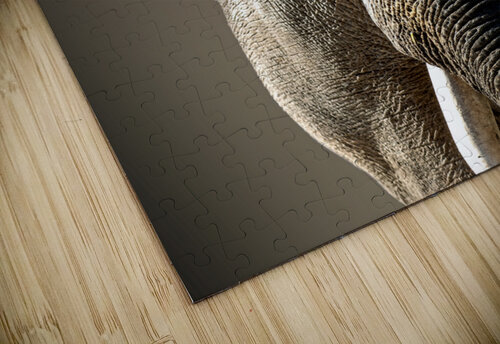 Oh My Goodness B Zolle puzzle