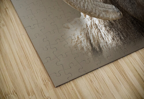 Hard Headed B Zolle puzzle