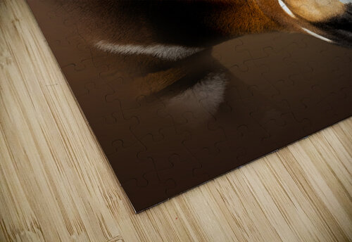 Not a Drum B Zolle puzzle