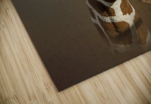 Take Me Higher B Zolle puzzle