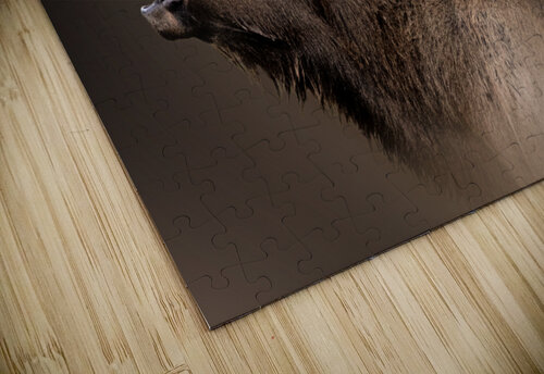 Shout Out B Zolle puzzle
