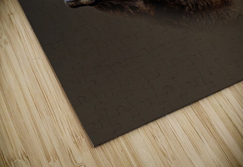 Triumphant B Zolle puzzle