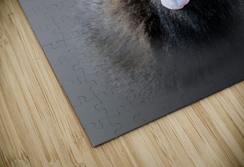 Sbpllllt B Zolle puzzle