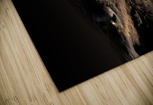 Wandering In B Zolle puzzle