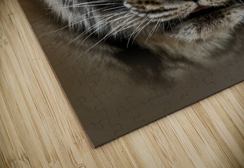 Tigress B Zolle puzzle