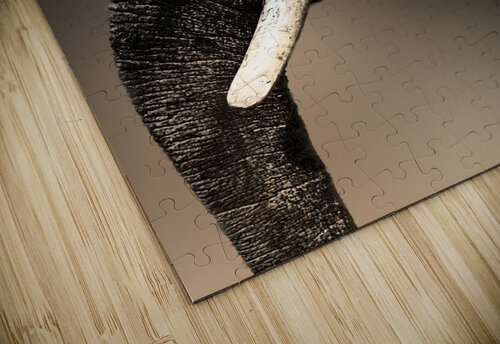 The More You Know B Zolle puzzle