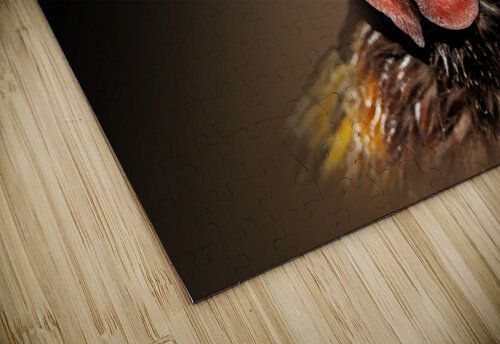 Cluck Cluck  B Zolle puzzle