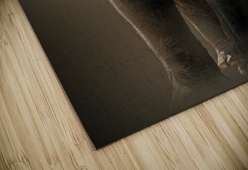Gigantic B Zolle puzzle