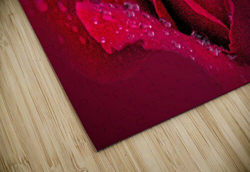 Red Rose On Red B Zolle puzzle