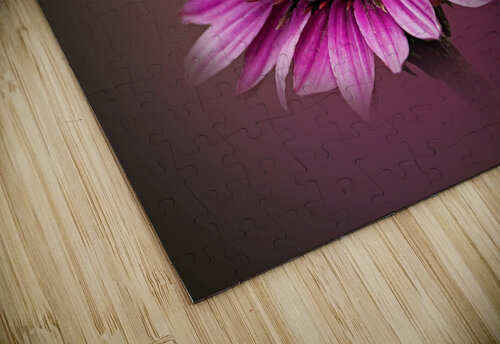 Working On It B Zolle puzzle