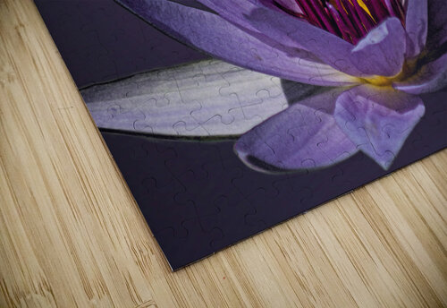 Lily Buddy B Zolle puzzle
