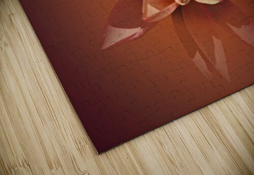 Spa Lily B Zolle puzzle