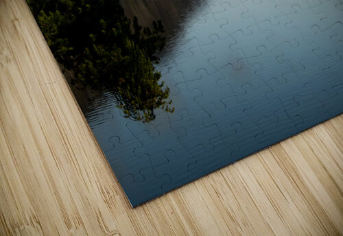 Scars Heal B Zolle puzzle