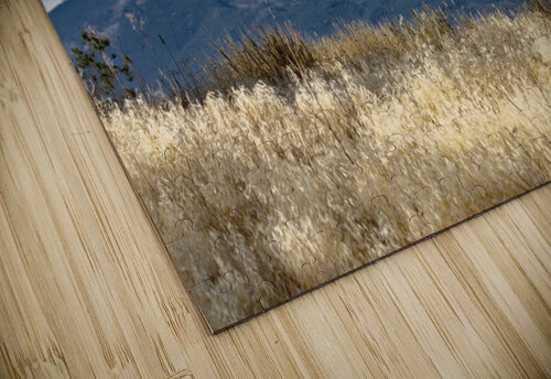 Sopris Stands Out B Zolle puzzle