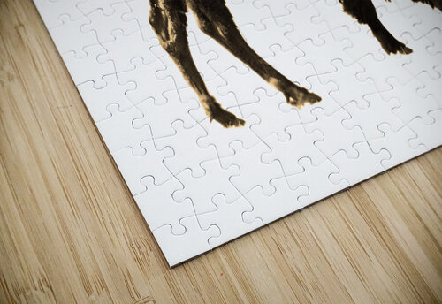 Brush Bison B Zolle puzzle